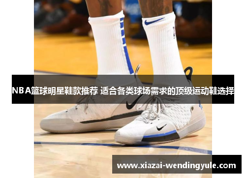 NBA篮球明星鞋款推荐 适合各类球场需求的顶级运动鞋选择