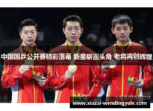 中国国乒公开赛精彩落幕 新星崭露头角 老将再创辉煌