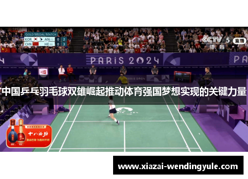 中国乒乓羽毛球双雄崛起推动体育强国梦想实现的关键力量